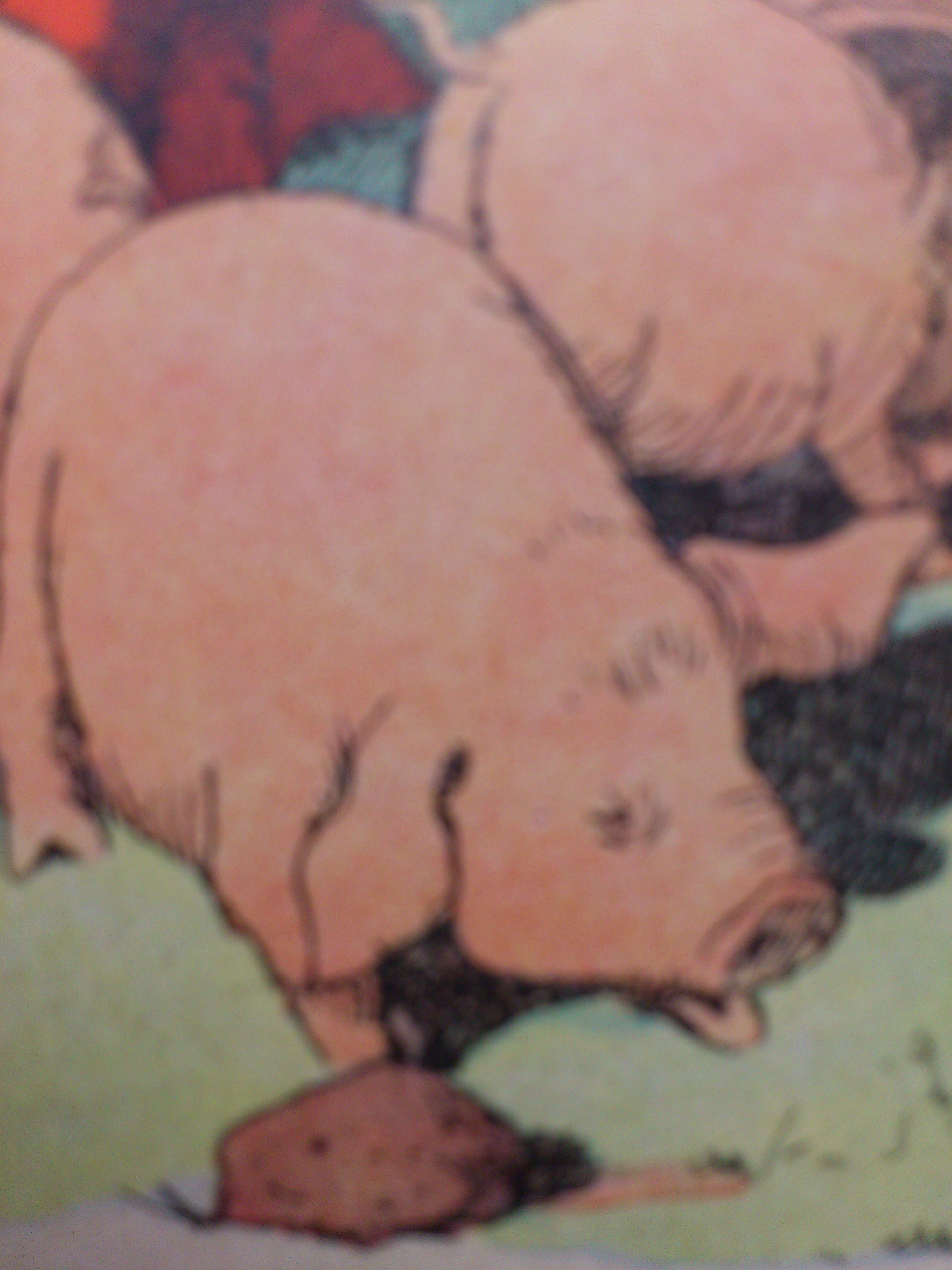 L’ambiance monte contre l’évaluation