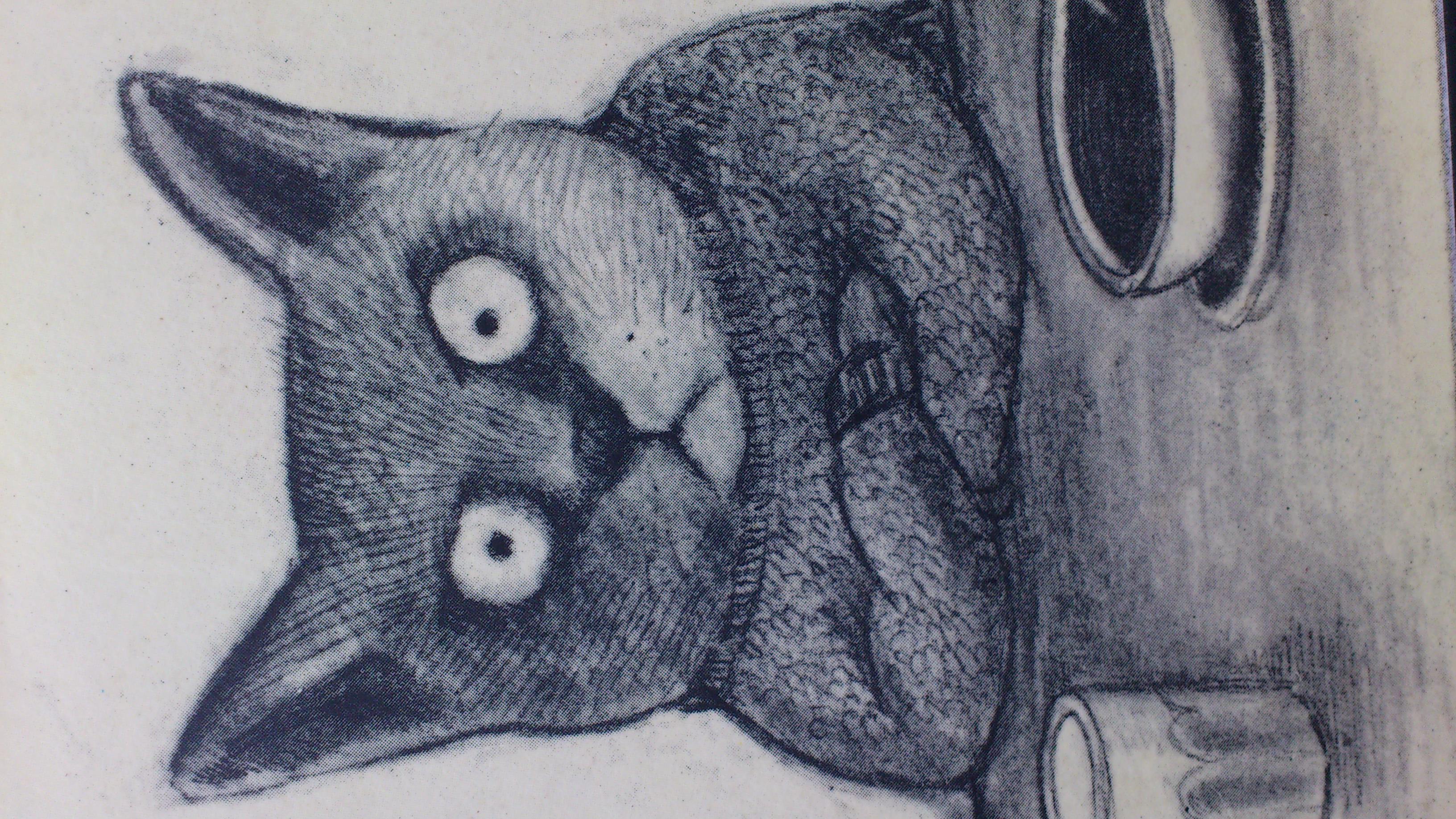 Le soldat Chauvin contre le classement de Shanghai